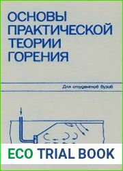 Основы практической теории горения