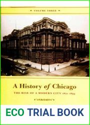 A History of Chicago, The Rise of a Modern City 1871-1893 Vol.3