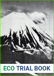 Bombers over Japan