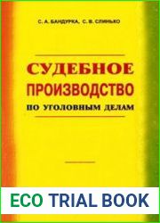 Судебное производство по уголовным делам