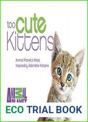Too Cute Kittens Animal Planet|s Most Impossibly Adorable Kittens