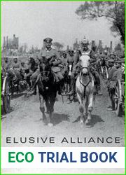 Elusive Alliance The German Occupation of Poland in World War I