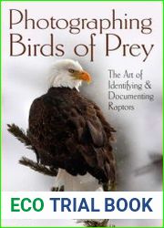 Photographing Birds of Prey The Art of Identifying & Documenting Raptors