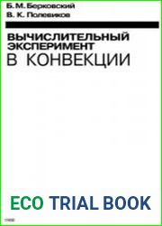 Вычислительный эксперимент в конвекции