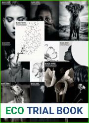Black + White Photography