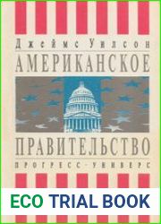 Американское правительство