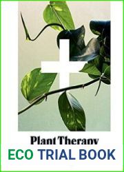 Plant Therapy Why an Indoor Green Oasis Can Improve Your Mental and Emotional Wellbeing