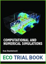 Computational and Numerical Simulations