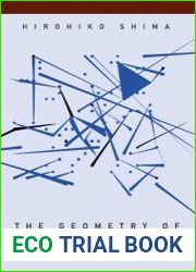 The Geometry of Hessian Structures