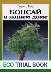 Бонсай в нашем доме