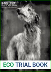 Black + White Photography