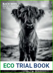 Black + White Photography