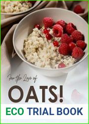 For the Love of Oats! Unique and Flavorful Oatmeal Recipes You Should Try Now