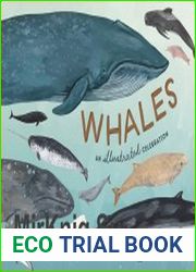 Whales An Illustrated Celebration