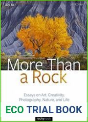 More Than a Rock Essays on Art, Creativity, Photography, Nature and Life, 2nd Edition
