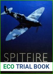 Spitfire Icon of a Nation