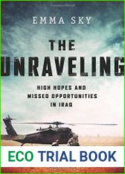 The Unravelling High Hopes and Missed Opportunities in Iraq