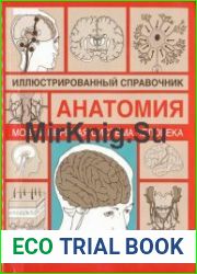 Мозг и нервная система человека. Иллюстрированный справочник