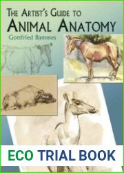 The Artists Guide to Animal Anatomy