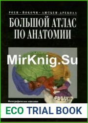 Большой атлас анатомии