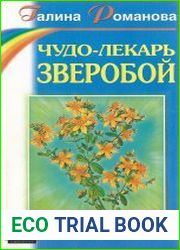 Чудо-лекарь зверобой