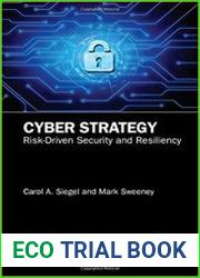 Cyber Strategy Risk-Driven Security and Resiliency