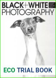 Black + White Photography
