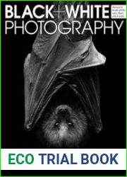 Black + White Photography