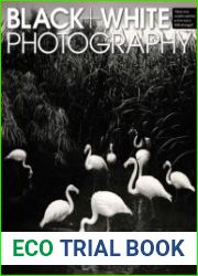 Black + White Photography