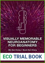 Visually Memorable Neuroanatomy for Beginners