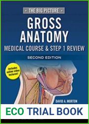 The Big Picture Gross Anatomy, Medical Course & Step 1 Review, 2nd Edition