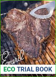 Emeril at the Grill A Cookbook for All Seasons