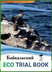 Байкальский сундучок