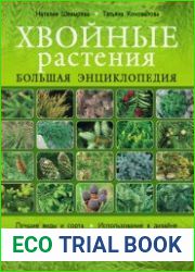 Хвойные растения Большая энциклопедия