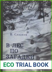 В лес по загадки (юным следопытам)