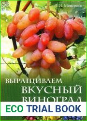 Выращиваем вкусный виноград