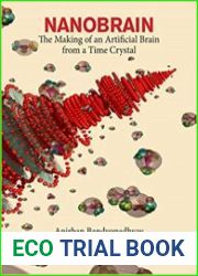 Nanobrain The Making of an Artificial Brain from a Time Crystal
