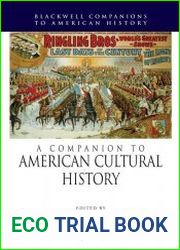A Companion to American Cultural History