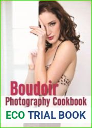 The Boudoir Photography Cookbook. 60 Recipes for Tempting Photos