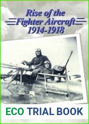 Rise of the Fighter Aircraft, 1914-1918