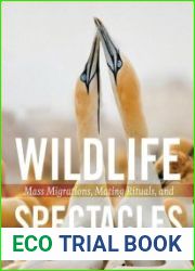 Wildlife Spectacles