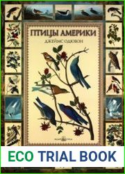 Птицы Америки