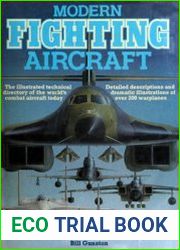 Modern Fighting Aircraft