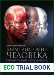 Иллюстрированный атлас анатомии человека