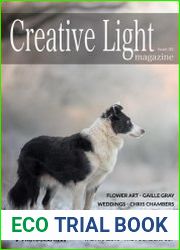 Creative Light