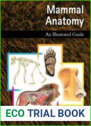 Mammal Anatomy An Illustrated Guide