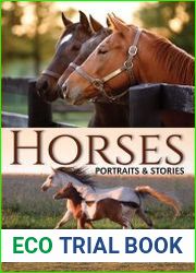 Horses Portraits & Stories