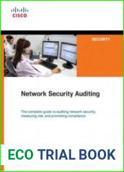 Network security auditing