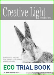 Creative Light