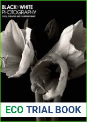 Black + White Photography